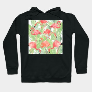 Flamingoes. Hoodie